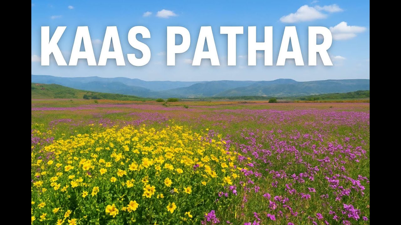 Kaas Pathar Flower Valley 2025: Best Time to Visit & Complete Travel Guide
