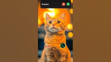 cat is calling #ringtone #smartphone #music #ringtones #song #iphone #cat #funnycallringto #callm