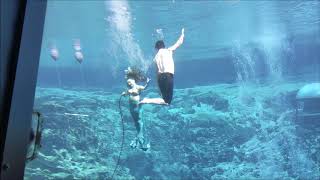 The Little Mermaid Underwater Full Show - Weeki Wachee Springs State Park