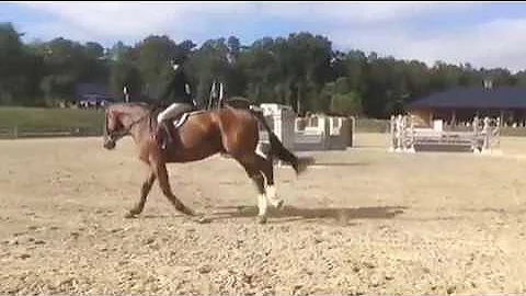 Caitlin Hooper Winninton