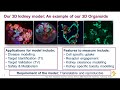 Generation and application of 3D-organoid cell culture models using human induced