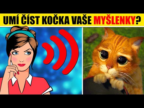 Video: Prebiotika A Hubnutí U Domácích Mazlíčků