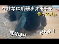 【ウサギ】爪研ぎしながら遊べる物作ってみた【爪切り】