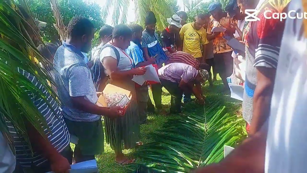 How to do leaf  sampling-oil palm 🌴