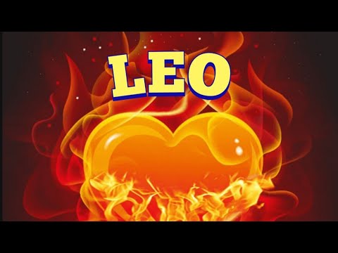 Vídeo: Com Recuperar L’amor De Leo