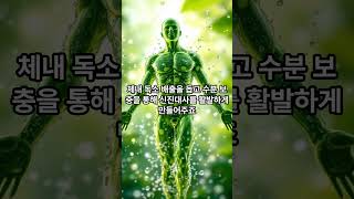 #디톡스 워터란#디톡스워터#디톡스#디톡스다이어트#워터#건강음료#건강#생수#물#수분섭최#건강