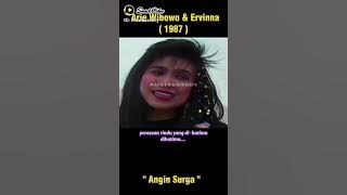 Angin sorga/Ari Wibowo ft.Ervinna (Clear Sound)