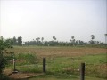 Bhadradrivanam