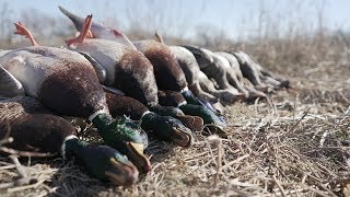 River Duck Hunting: River Duck Hunting: