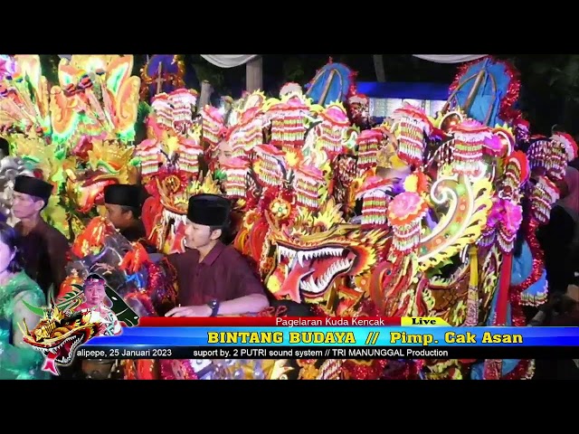 PAGELARAN KUDA KENCAK BINTANG BUDAYA // PIMPINAN CAK ASAN KALIPEPE - YOSOWILANGUN - LUMAJANG class=