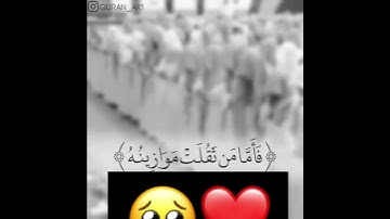 تلاوة خاشعة بصوت الشيخ ياسر الدوسري