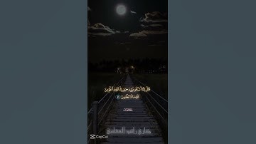 مشاري العفاسي #قرآن #اكسبلور #المصحف #تلاوة_خاشعة #دويتو #لايك #قران_كريم #مشاري_العفاسي