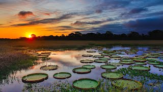 Video thumbnail of "Danser sur l'eau by Tom Kristiaan | Piano and Nature"