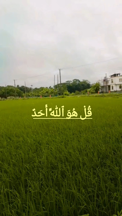 Surah al iklash voice egzonibrahimi #surahalikhlas #egzonibrahimi #سورة_الإخلاص #quranrecitation