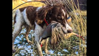 Angus of the Chukar Hills by Bob McMichael 6,300 views 3 years ago 21 minutes