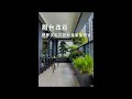 What's it like to bring a podocarpus tree into your balcony?