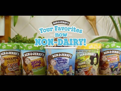 NEW Non-Dairy Flavors | Ben & Jerry's