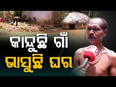 Kani River Flood: Villages Submerged For 6 Days; People Living With Cattle | Argus News