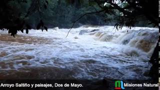 Arroyo Saltiño, Dos de Mayo. Misiones Natural