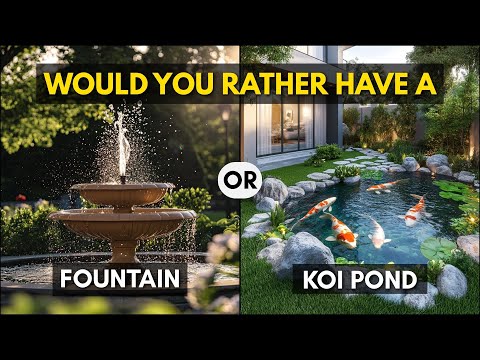 Would You Rather Pick Your Dream Backyard Fun Garden Quiz Edition by Garden Lighting