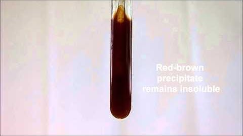 Test for Cation: Test for Iron (III) ion with Aqueous Sodium Hydroxide
