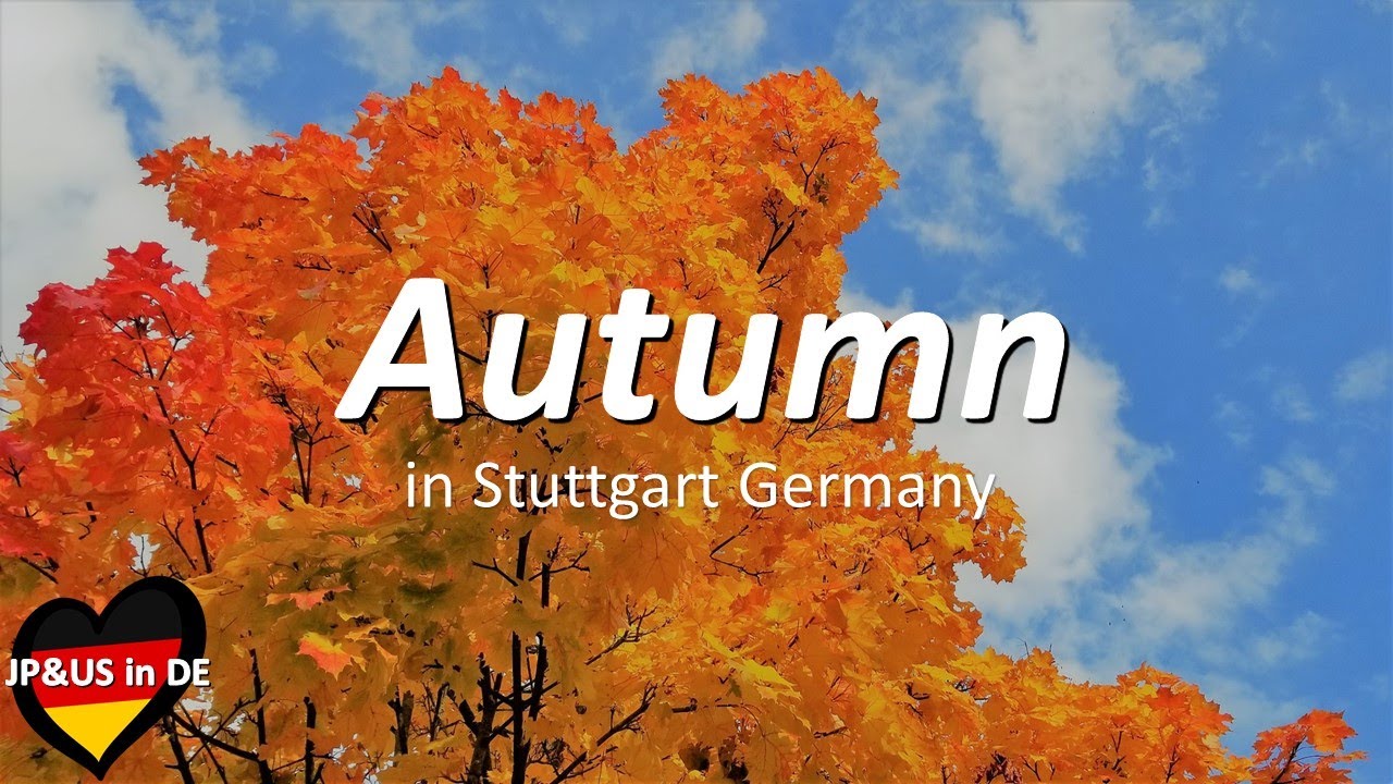 【Stuttgartドイツ】🇩🇪Autumn in Stuttgart Germany / Autumn Stroll / Germany ...