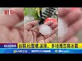 雙北天氣異常現象