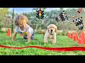 اقوى سباق بين مارفل و غولدي  mp3