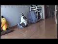 LAVOT ぽぽう ゆるぼっちな時間 LAVOT ぽぽう ゆるぼっちな時間