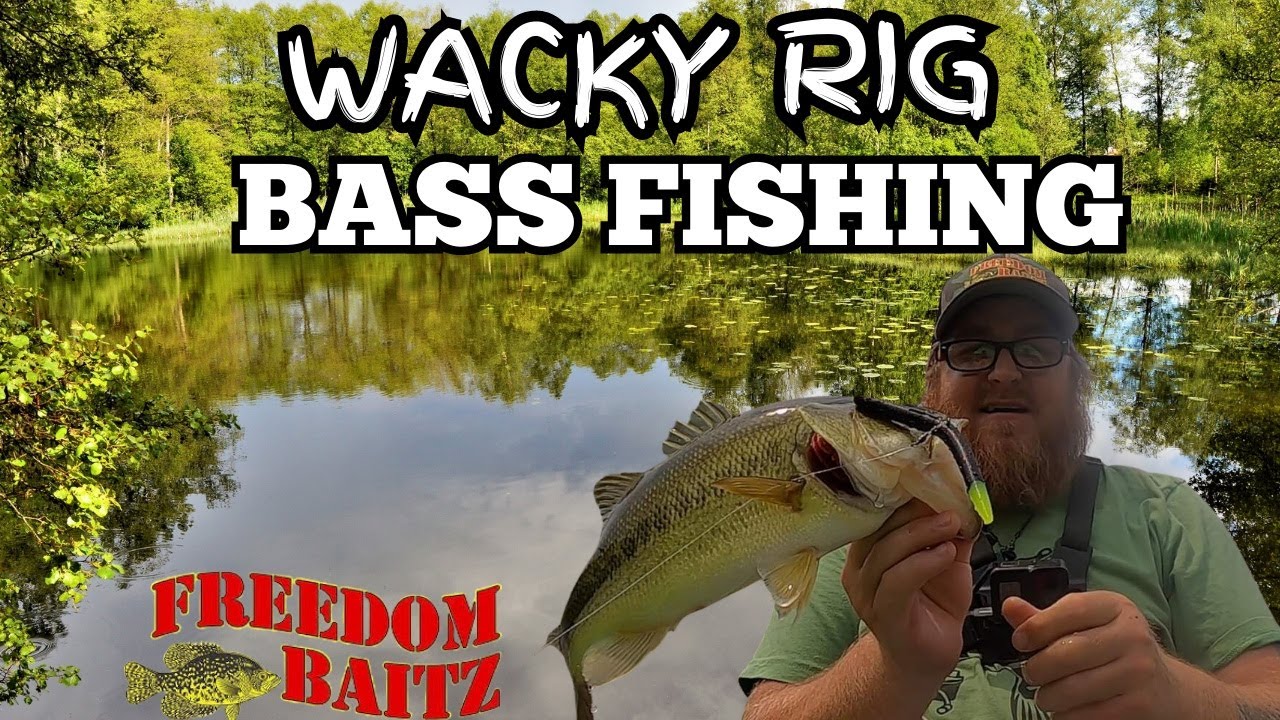 Wacky Rig Bass Fishing! 