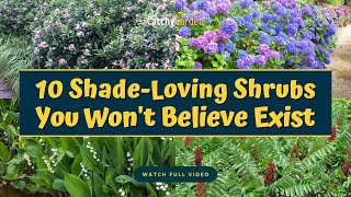 10 Best Shade Loving Shrubs You Won't Believe Exist  // Gardening