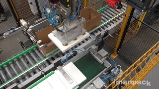 Packaging line with pick and place robot for door locks