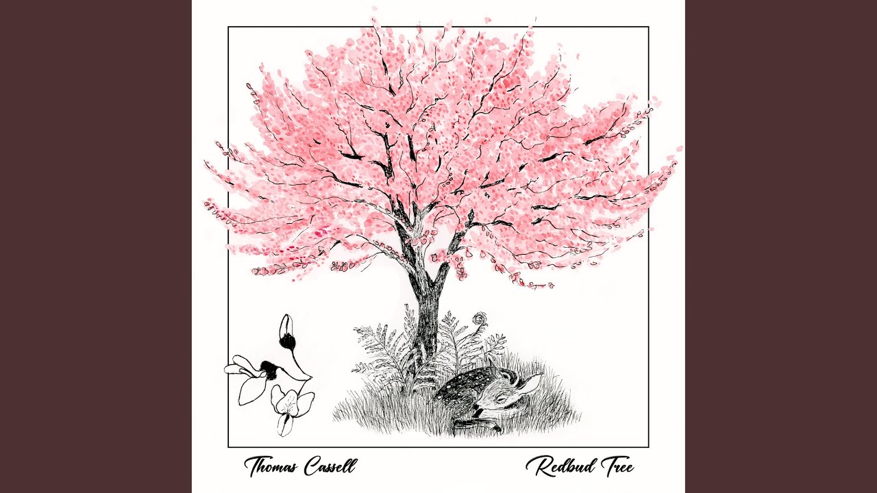 Watch Redbud Tree on YouTube Watch Redbud Tree on YouTube