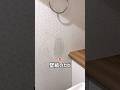 キッチンハイターで壁紙のカビを落とす方法