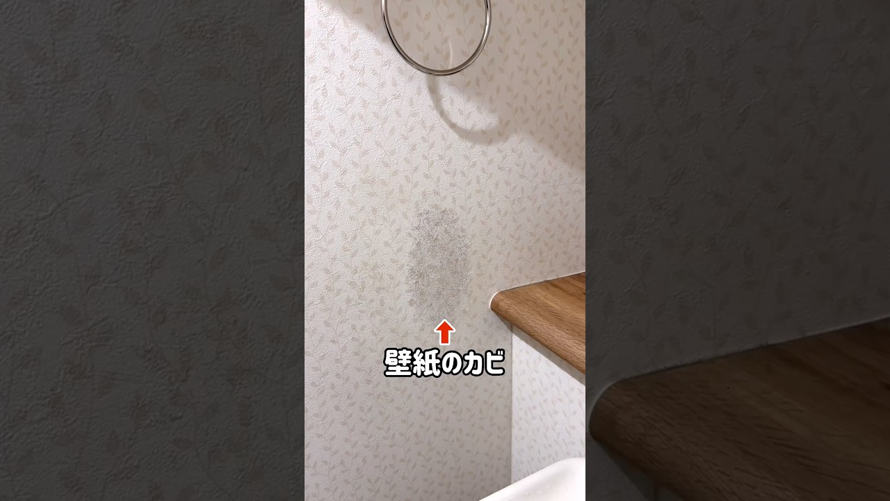 キッチンハイターで壁紙のカビを落とす方法