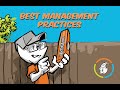 Bad Elf Flex - Best Management Practices