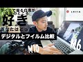 【ライカM6とM10で撮り比べ】フイルム？白黒？レンズ？結局どれ？