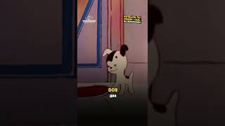 Котёнок по имени Гав (1976)  на испанском | Испанский по мультфильмам | Тимошкин