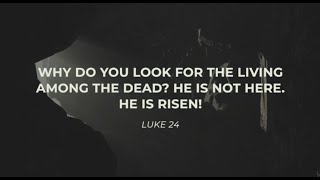 Lighthouse Live - Easter Sunday Update