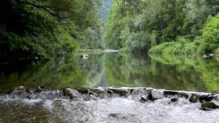 Landscape of a mountain river. Relaxing Water Sounds, Stream Sounds, White Noise for Sleep, Study.