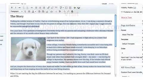 Create JohnsonBoxes (text boxes, content boxes) the Easy Way. See NEW LINK in text!