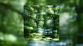 FORCE OF NATURE - Same Ol' Thing (sped up)