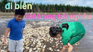 Đi biển bắt nghêu bắt cá quá trời, hít không khí biển để lấy năng lượng cho cuộc sống
