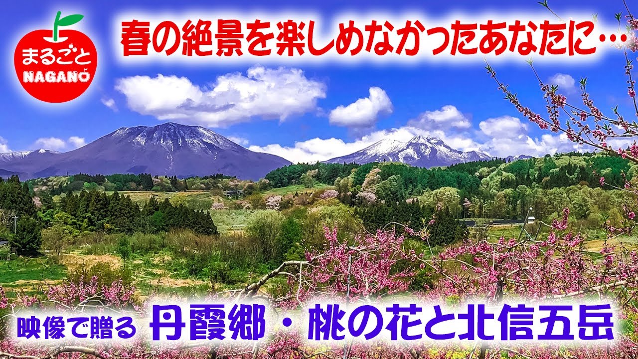 春の絶景 映像で贈る 北信州丹霞郷 桃の花と北信五岳 まるごとnagano Youtube