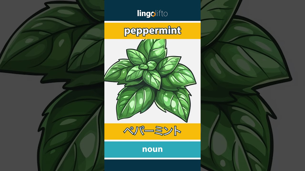 🇬🇧🇯🇵 peppermint - ペパーミント : learn English : 英語を学ぼう