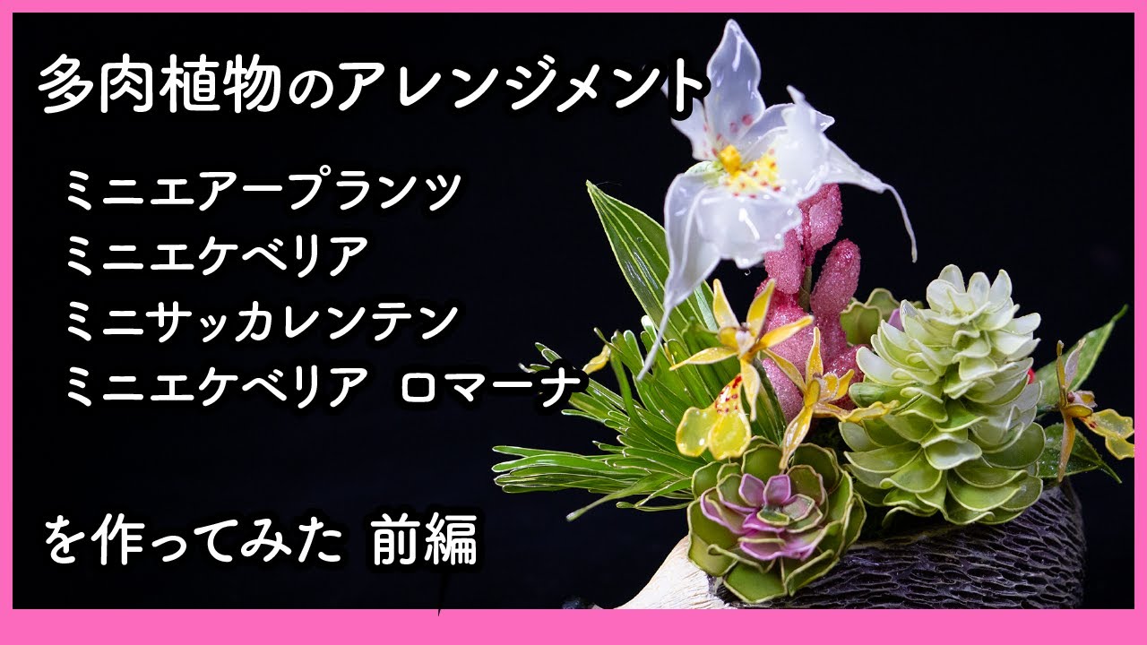 多肉植物のアレンジメント 前編（エアープランツ・エケベリア・サッカ