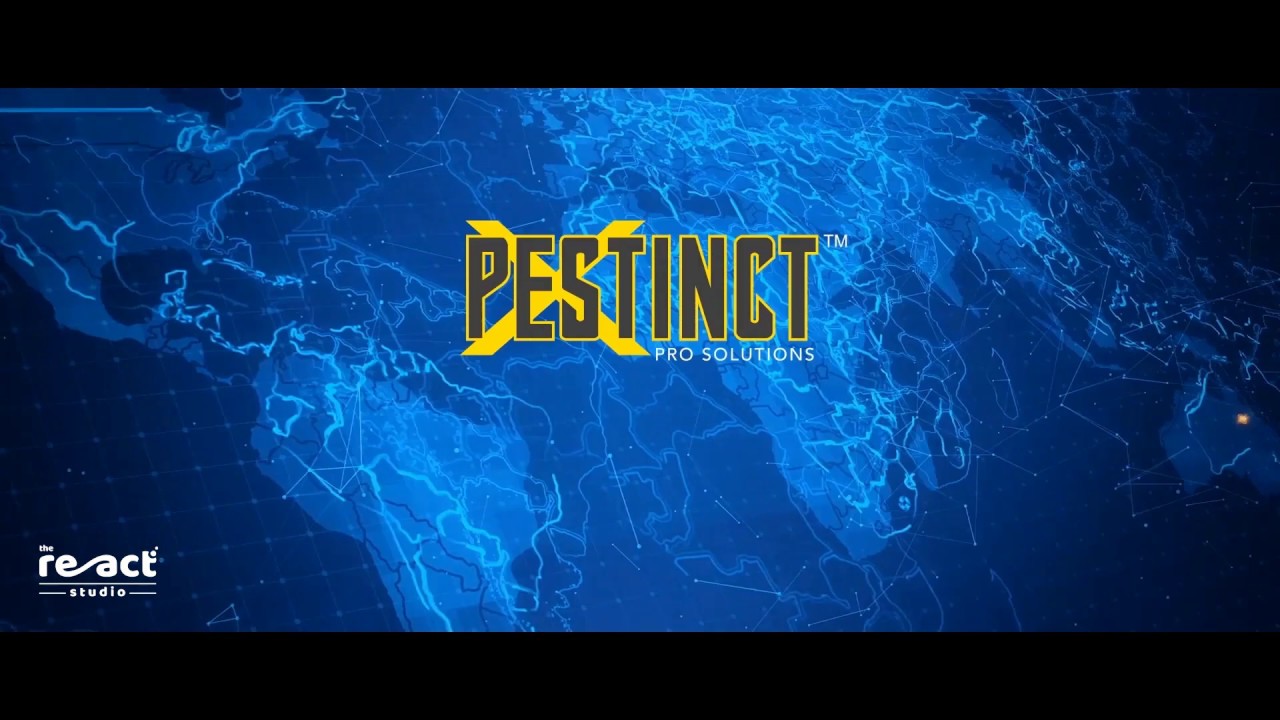 Pestinct Pro Solutions l Motion Graphics Video l The React Studio