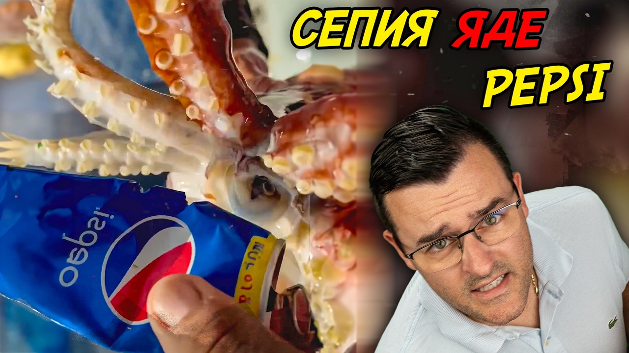 ЕДИН на МИЛИОН моменти УЛОВЕНИ на камера