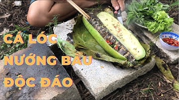 Cá Lóc Nướng Bầu_ Được Biến Tấu Từ Món Cá Lóc Hấp Bầu Nhưng Không Kém Phần Hấp Dẫn Và Thơm Ngon