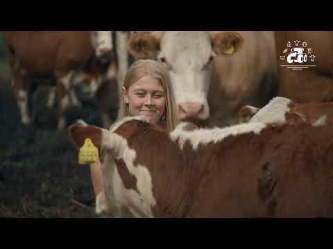 Video: Ovatko maatilan eläimet kasvinsyöjiä?